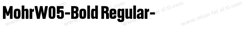 MohrW05-Bold Regular字体转换
